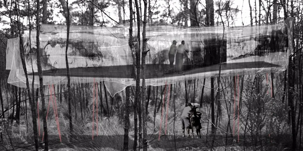 Thesis collage, long elevation: the pavilion raised among trees.