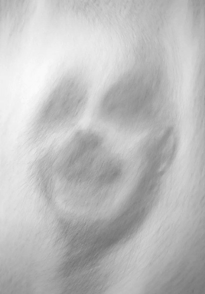 O TENDER FELLOWS, image 8 of 8
