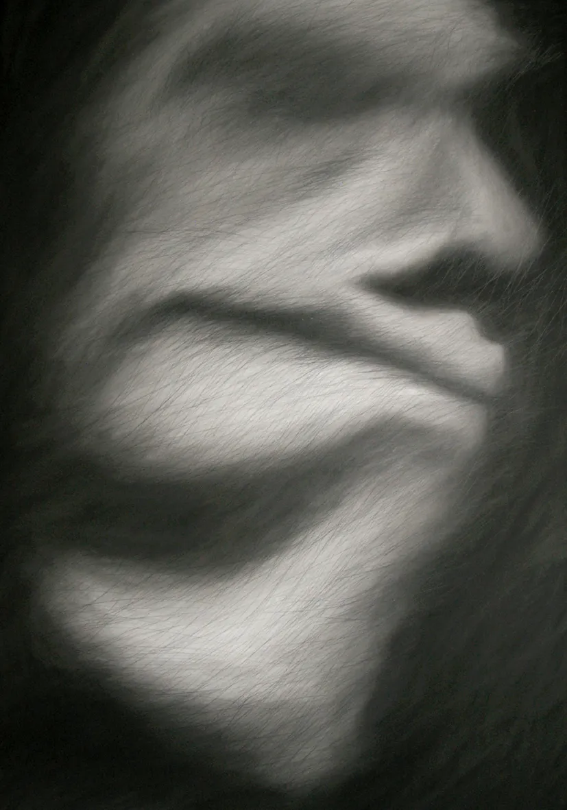 HOMOPOLITICUS, image 3 of 9