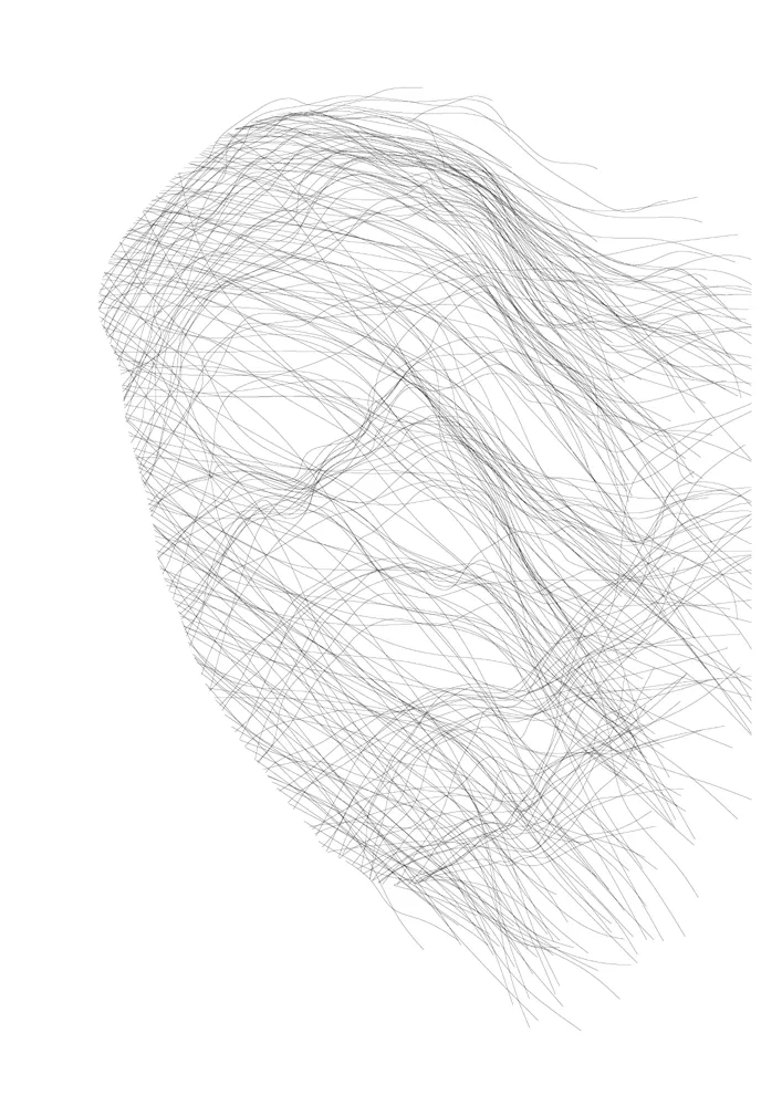 Veil No.1 (detail) / study, 2018