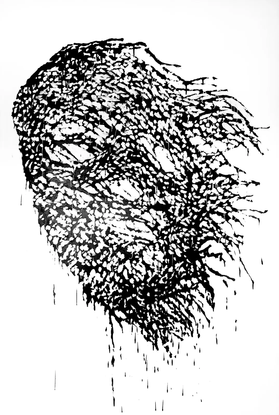 FAR, image 1 of 2