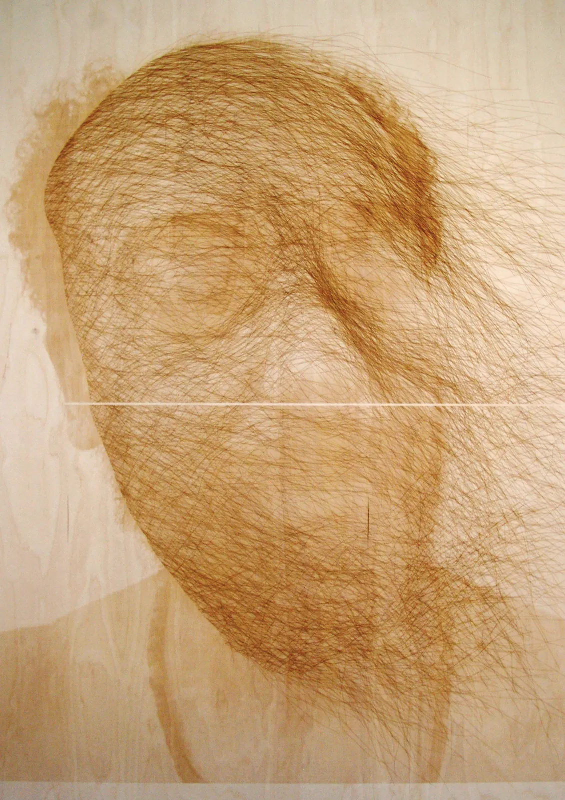laser pyrography on wood / 120 × 80 cm (2014)