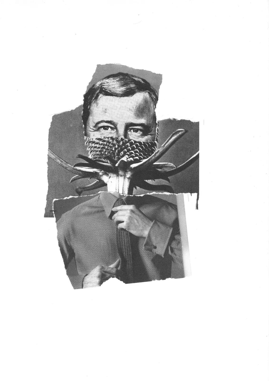 Scrapbook No.12 / 42 × 29.7 cm / collage on paper (2012)