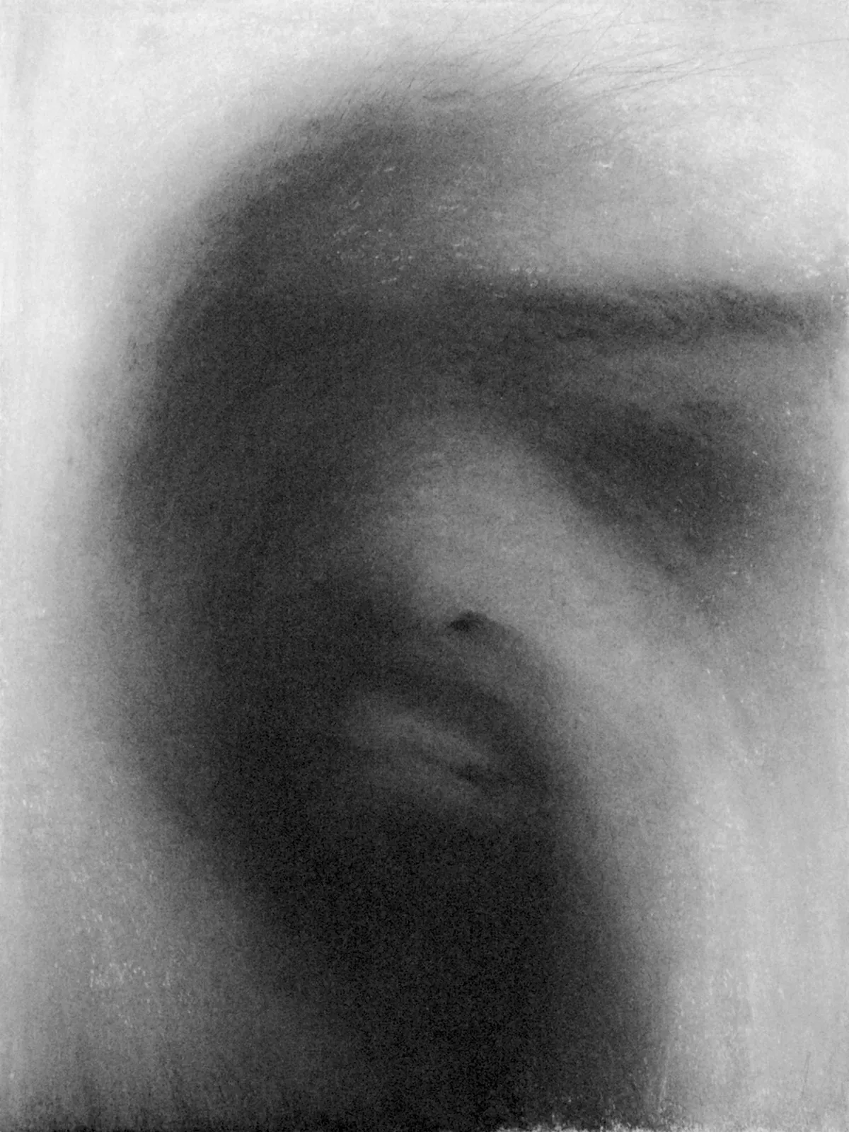 Étude / 60 × 45 cm / pastel, charcoal and graphite on paper (2014)