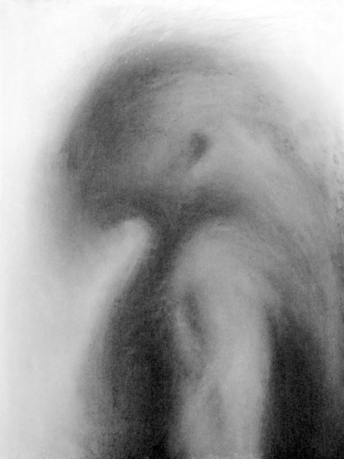 Étude / 60 × 45 cm / pastel, charcoal and graphite on paper (2014)