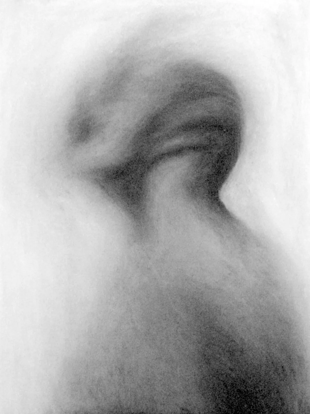 Étude / 60 × 45 cm / pastel, charcoal and graphite on paper (2014)