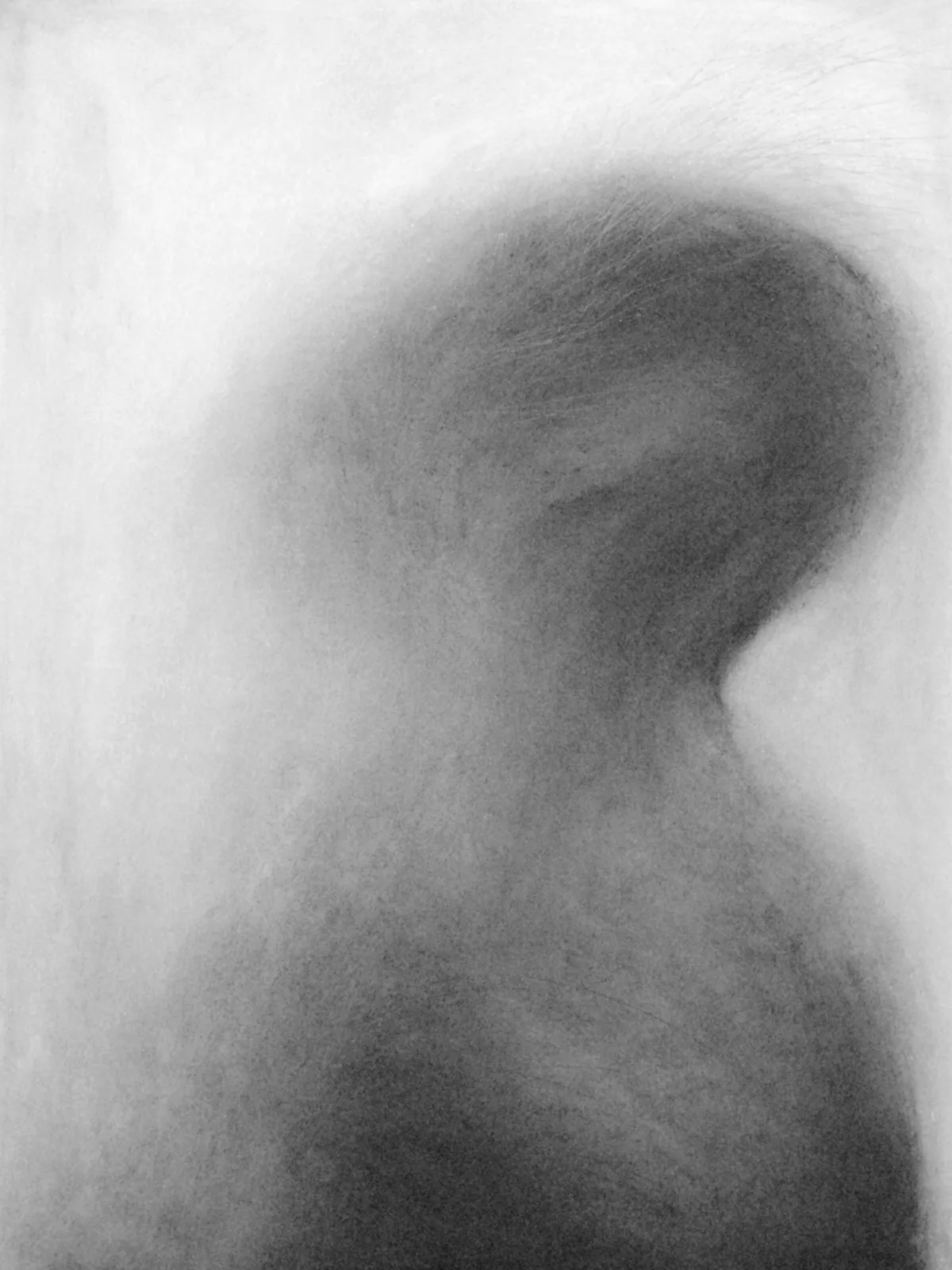 Étude / 60 × 45 cm / pastel, charcoal and graphite on paper (2014)